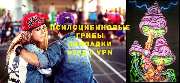 ГАЛЛЮЦИНОГЕННЫЕ ГРИБЫ Липки