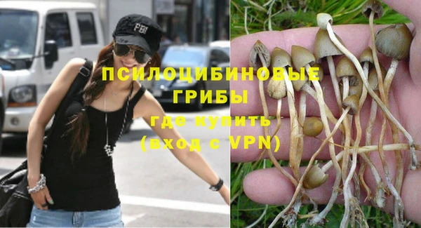 ГАЛЛЮЦИНОГЕННЫЕ ГРИБЫ Липки