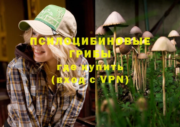 СК Лихославль