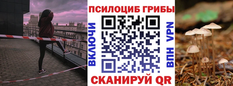 цены   Приволжский  Псилоцибиновые грибы мицелий 